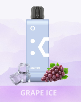 Elfbar EW9000 - Grape Ice (Refil sem bateria)