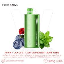 Funky Republic Ti7000 - Blueberry Rose Mint
