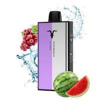 Ignite Ice V400 Mix - Grape Ice/Watermelon Ice