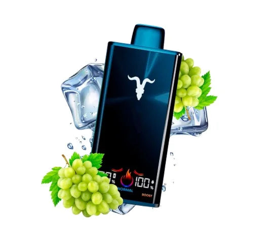 Ignite V300 - Grape Ice