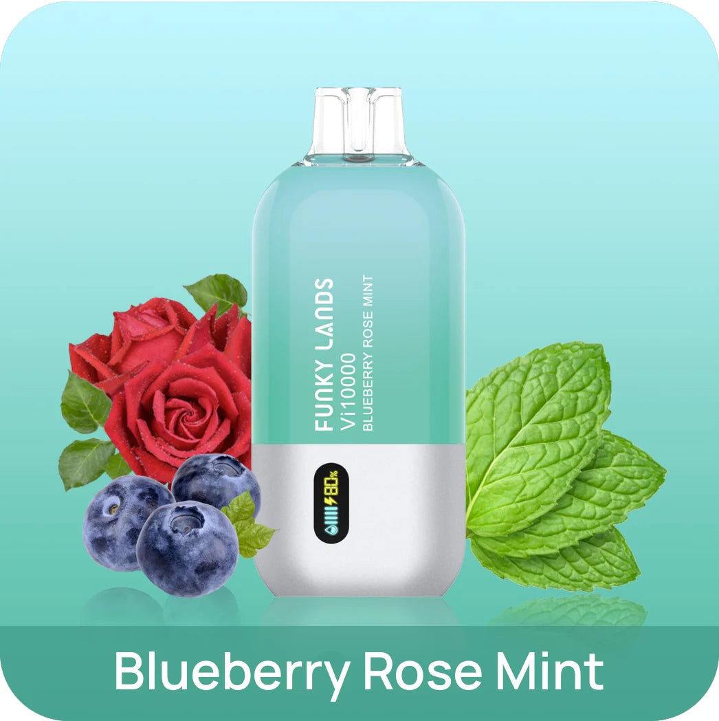 Funky Lands VI10000 - Blueberry Rose Mint