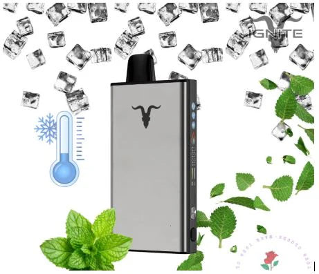 Ignite Ice V400 - Icy Mint