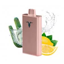 Ignite V250 - Cactus Lime Soda - Rosé