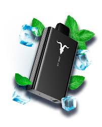 Ignite v80 - Icy Mint