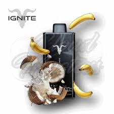 Ignite V300 - Banana Coconut Water